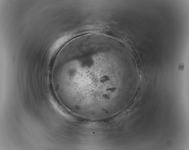 X0000113570149200910021637