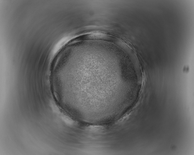 X0000113570150200910021637