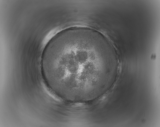 X0000113570151200910021637