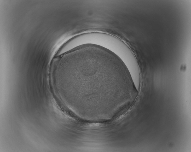 X0000113570152200910021637