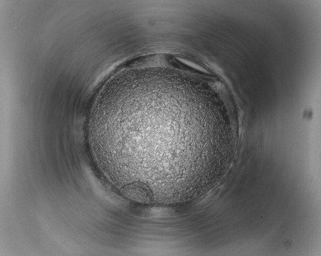 X0000113570154200910021637