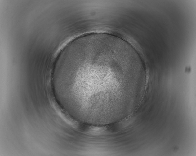 X0000113570155200910021637