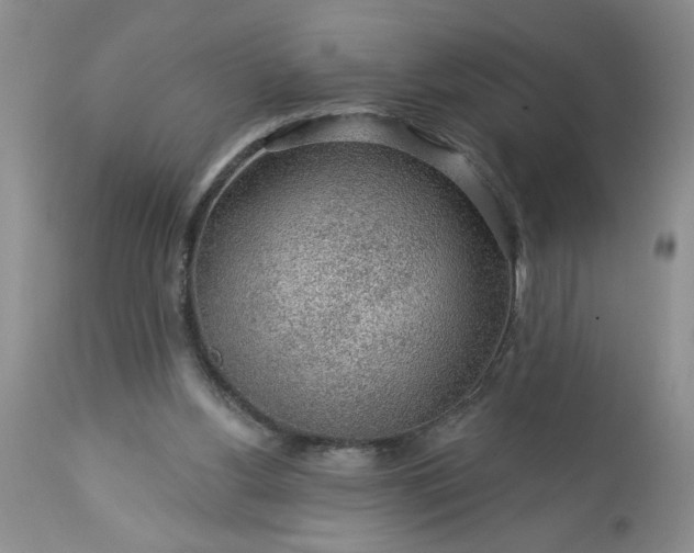 X0000113570156200910021637