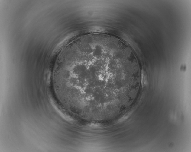 X0000113570157200910021637