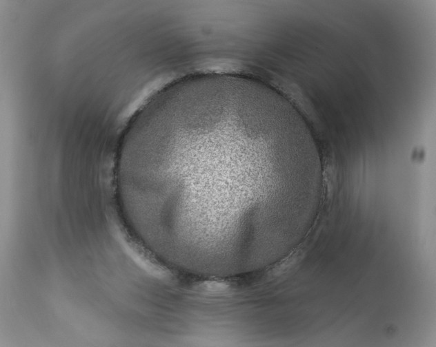 X0000113570159200910021637