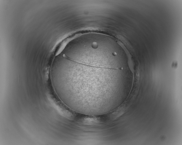 X0000113570160200910021637