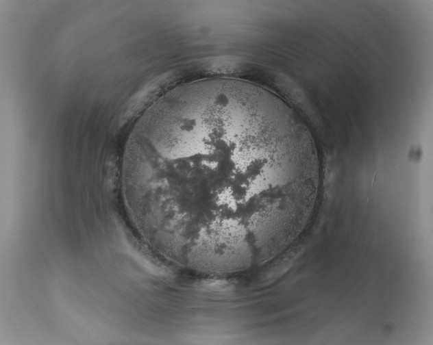 X0000113570161200910021637