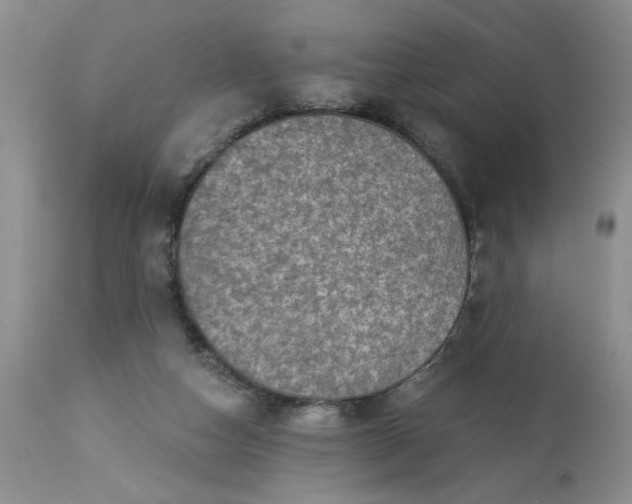 X0000113570162200910021637