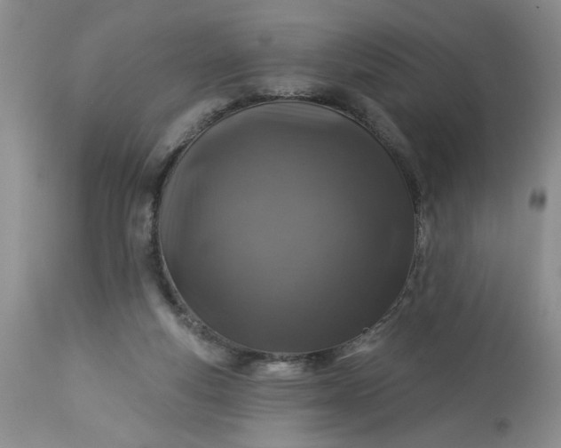 X0000113570163200910021637