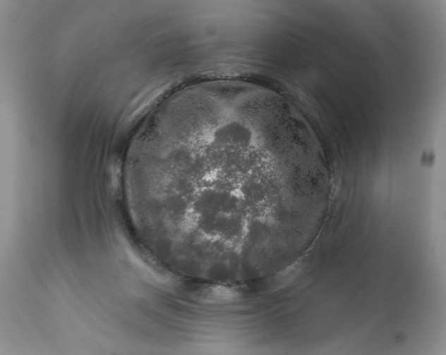 X0000113570166200910021637