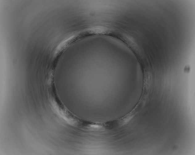 X0000113570167200910021637