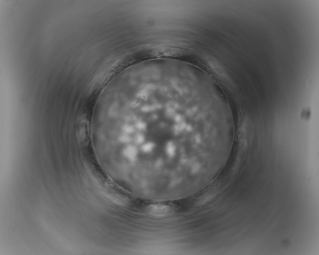 X0000113570169200910021638