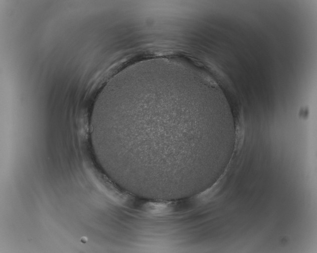 X0000113570170200910021638