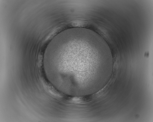 X0000113570171200910021638