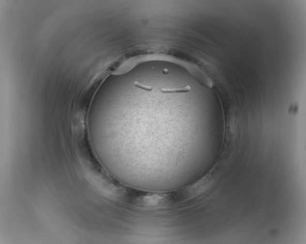 X0000113570172200910021638