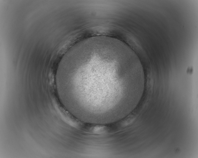 X0000113570173200910021638