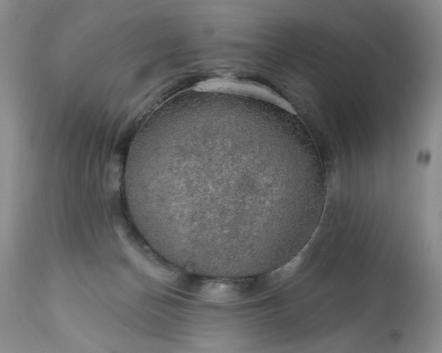 X0000113570174200910021638