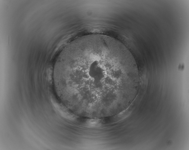 X0000113570175200910021638