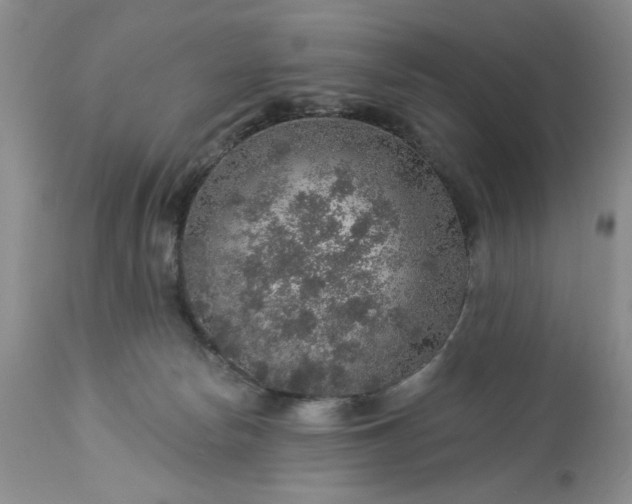 X0000113570178200910021638