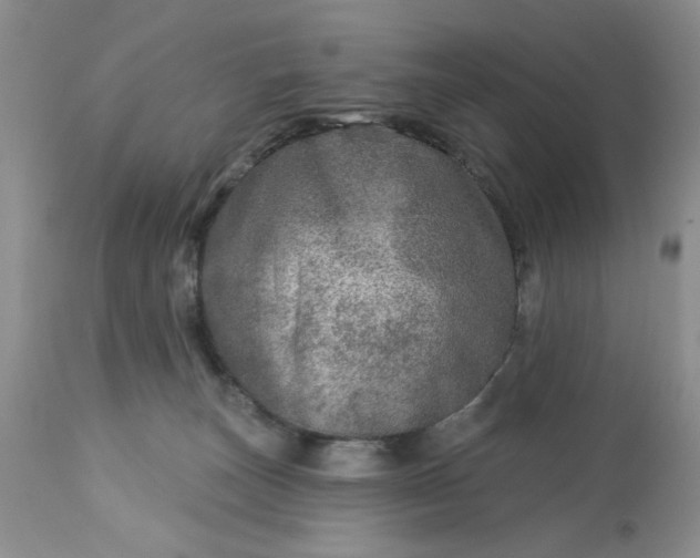 X0000113570179200910021638