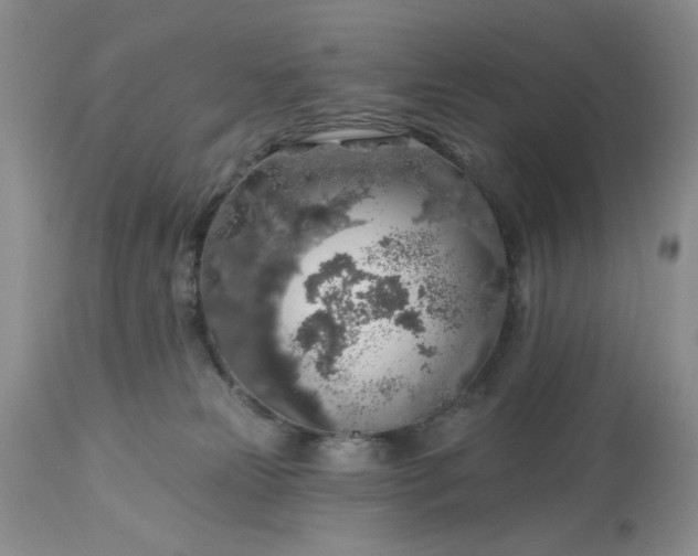 X0000113570181200910021638