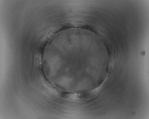 X0000113570182200910021638