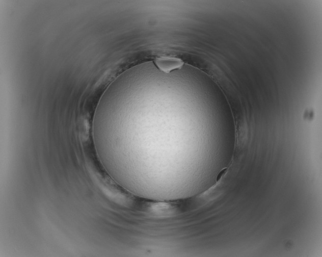 X0000113570183200910021638