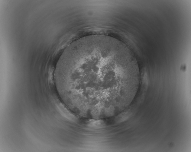 X0000113570185200910021638