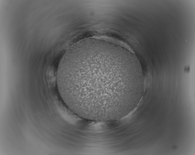 X0000113570186200910021638