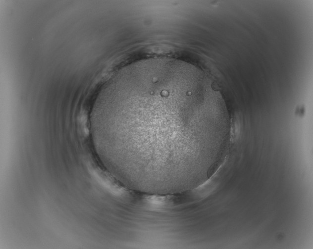 X0000113570187200910021638