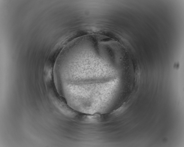 X0000113570188200910021638