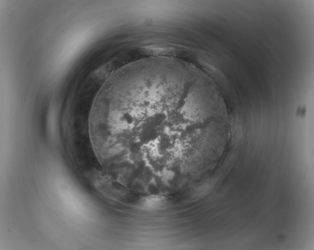 X0000113570189200910021638