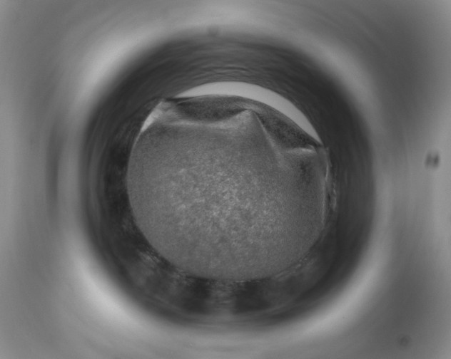 X0000113570190200910021638