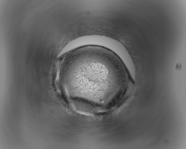 X0000113570192200910021638