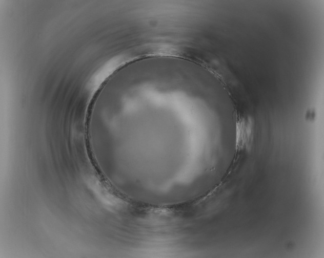 X0000113570195200910021637