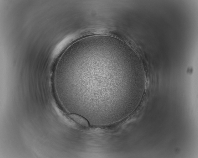 X0000113570197200910021637