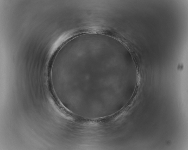 X0000113570198200910021637