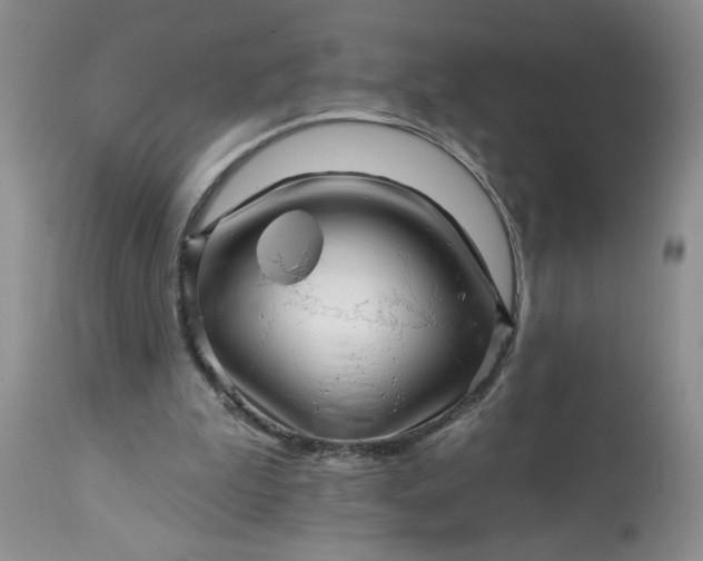 X0000113570199200910021637