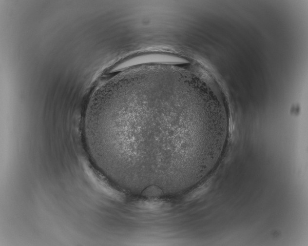 X0000113570201200910021637