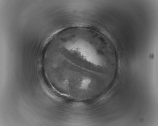 X0000113570203200910021637