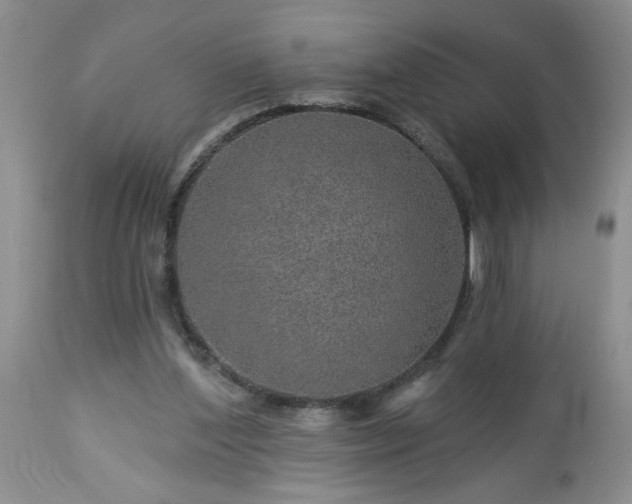 X0000113570204200910021637