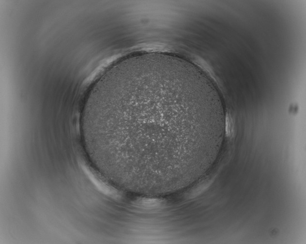 X0000113570205200910021637