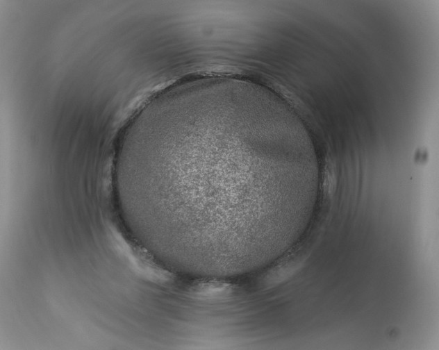 X0000113570206200910021637