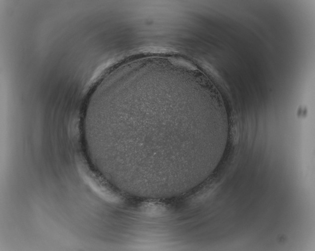 X0000113570207200910021637