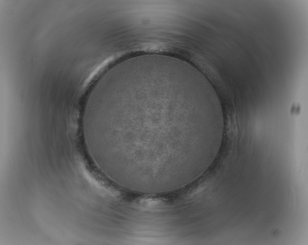 X0000113570208200910021637