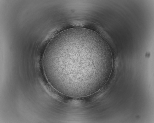 X0000113570209200910021637