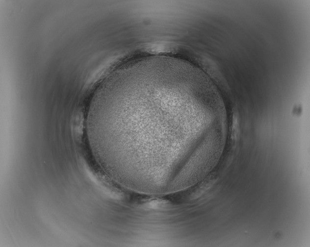 X0000113570210200910021637