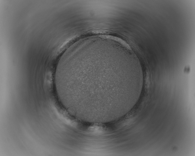 X0000113570211200910021637