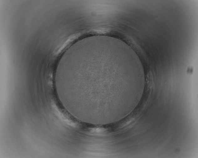 X0000113570212200910021637