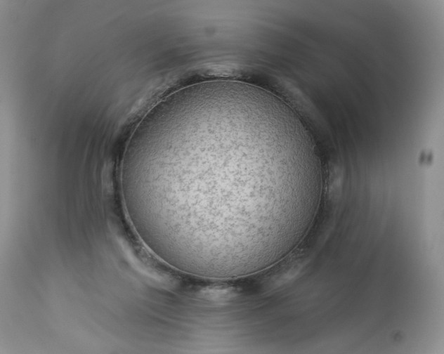 X0000113570213200910021637